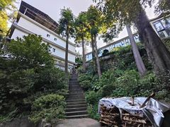 -碧峰峡风景区