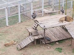 -青藏高原野生动物园