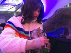 -极木²邸 人与宠物·互动社区