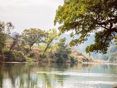 -婺源风景区