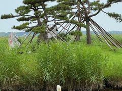 -黑龙江扎龙生态旅游区