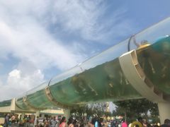 -秦皇岛乐岛海洋王国