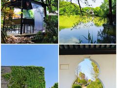-八大山人梅湖景区