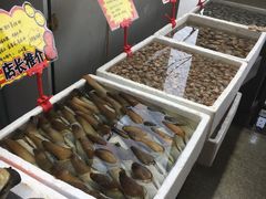 -蚝专家(北滘店)