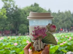 -莲池书院博物馆
