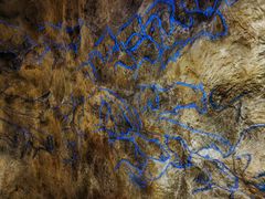 -正佳自然科学博物馆