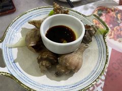 -小海丁