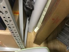 -壹人壹像工作室(购物公园店)