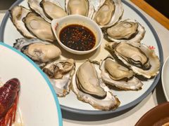 -杨氏青龙虾·羊蝎子(托乐嘉店)