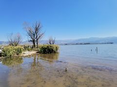 -西昌邛海湿地
