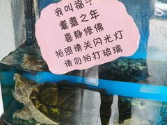 -东家小院金汤酸菜鱼(南阳路店)