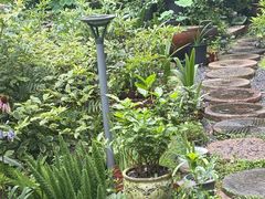 -谷咖啡·鲜花绿植花园餐厅