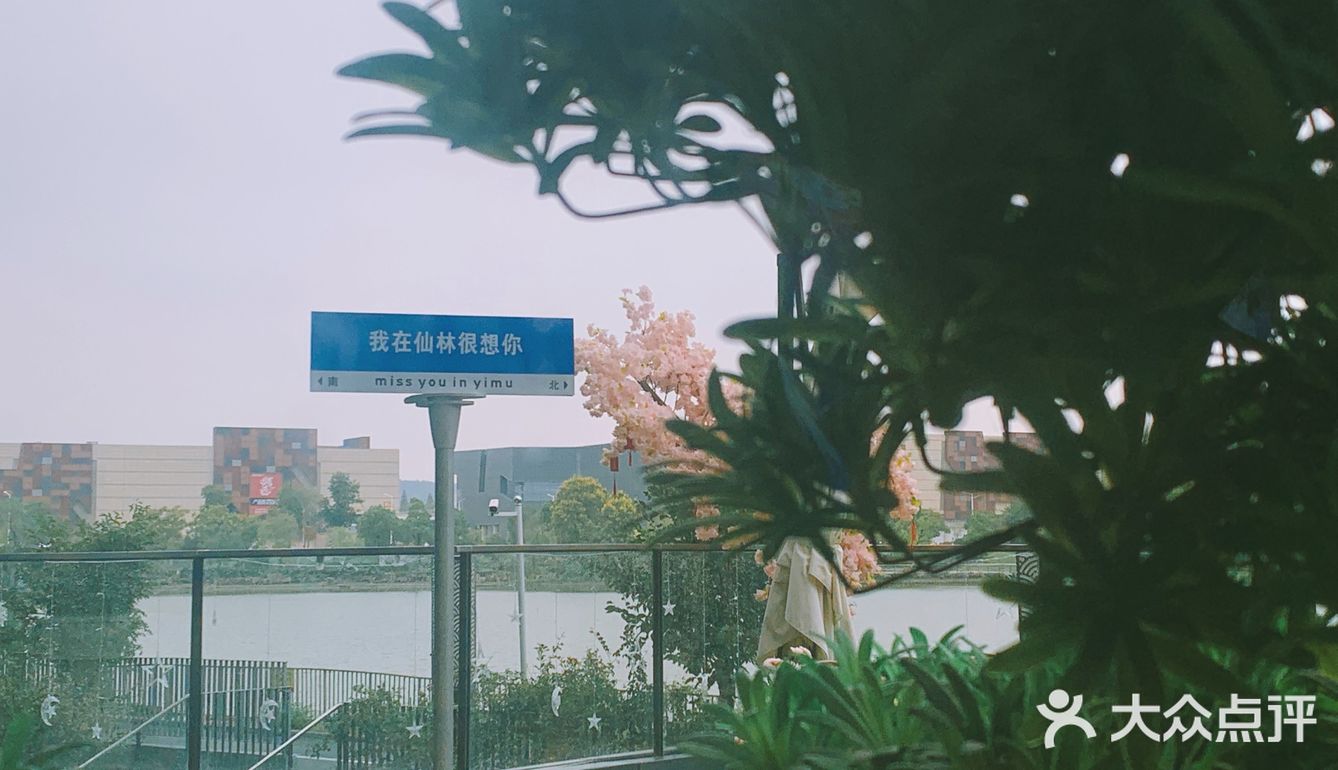 一定要早点来喔靠窗拍照好好看 天气好还可以户外