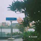 一定要早点来喔靠窗拍照好好看 天气好还可以户外