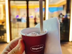 -哈根达斯(国瑞店)