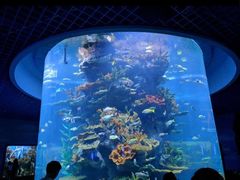 -多彩贵州城极地海洋世界