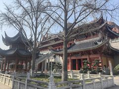 -上海东林寺(金山区)