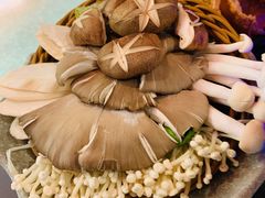 菌类拼盘-麻路成都火锅(柏威年店)