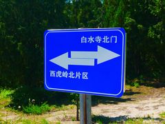 -白水寺森林公园
