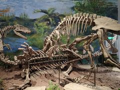 -自贡恐龙博物馆