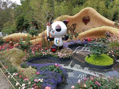 -深圳仙湖植物园