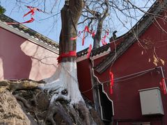 -长春观