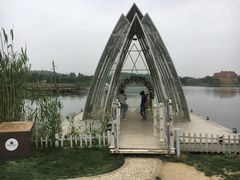 -大塘金香草谷