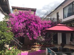 -浔岚云舍mist静谧观景美宿(丽江古城店)