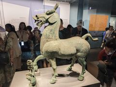 -广西壮族自治区博物馆