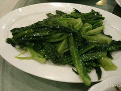 蒜蓉油麦菜-金苑海鲜酒家(新港中路店)