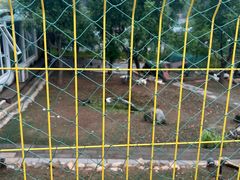-丽泽山庄·生态怀柔菜·虹鳟鱼(红螺寺店)
