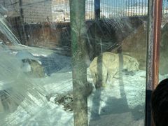 -新疆天山野生动物园