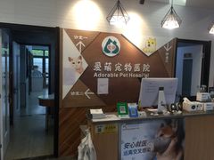 -美联众合宠物医院·爱萌分院·内外科·猫科中心