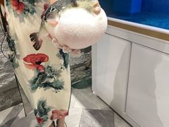 -鲐赏河豚(长寿店)