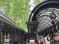 -合肥滨湖国家森林公园