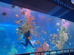 -泉城欧乐堡海洋极地世界