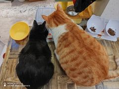 -小时光咖啡馆(北锣鼓巷店)