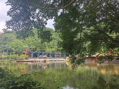 -西双版纳原始森林公园