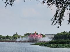 -白洋淀景区