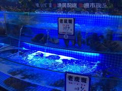 -驻海渔市(置信店)