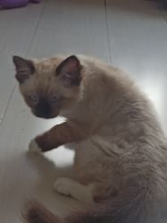 -盘子女人坊古装摄影(万达店)