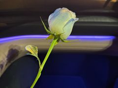 -曲氏老北京铜锅涮肉•火锅(不老街店)