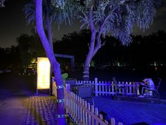 -枫花园汽车电影院(朝阳公园店)