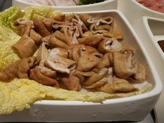 肥肠-海底捞火锅(金光华店)