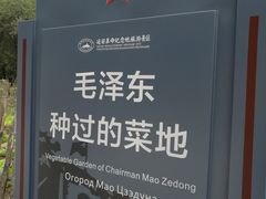 -延安杨家岭革命旧址