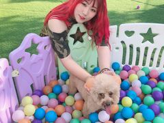 -汪说喵讲宠物乐园宠物酒店(红星美凯龙店)