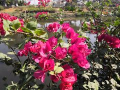 -五里桥文化公园-西侧停车场