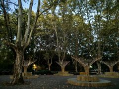 -上海共青森林公园