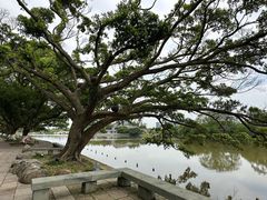 -江心屿景区