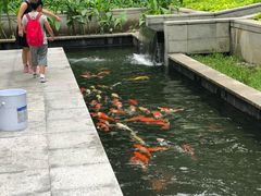 -曼谷铂尔曼皇权酒店